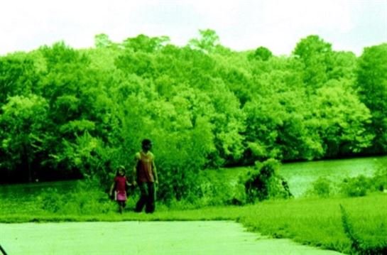 Hollis Hill Jr. — photo 65