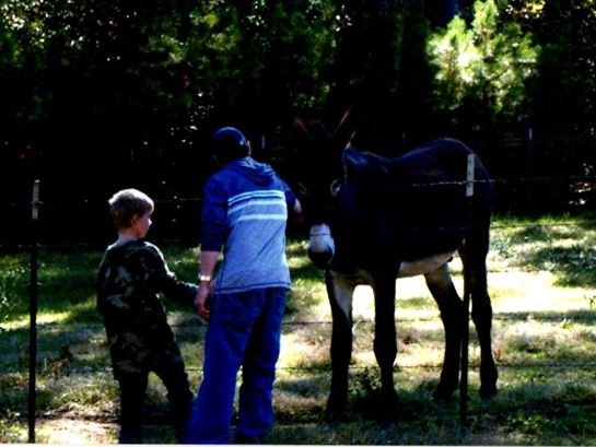 Hollis Hill Jr. — photo 131