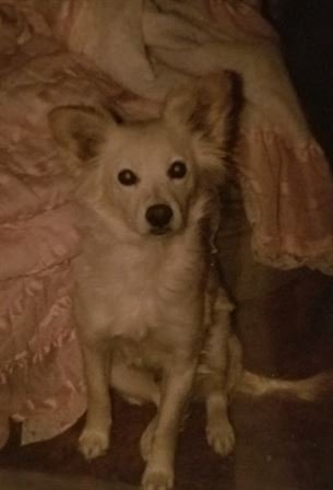 Russell Howard Self - Photo 48