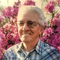 William George Pitcher