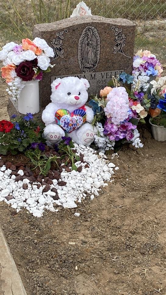 Elva Nelly Ibarra - Photo 7