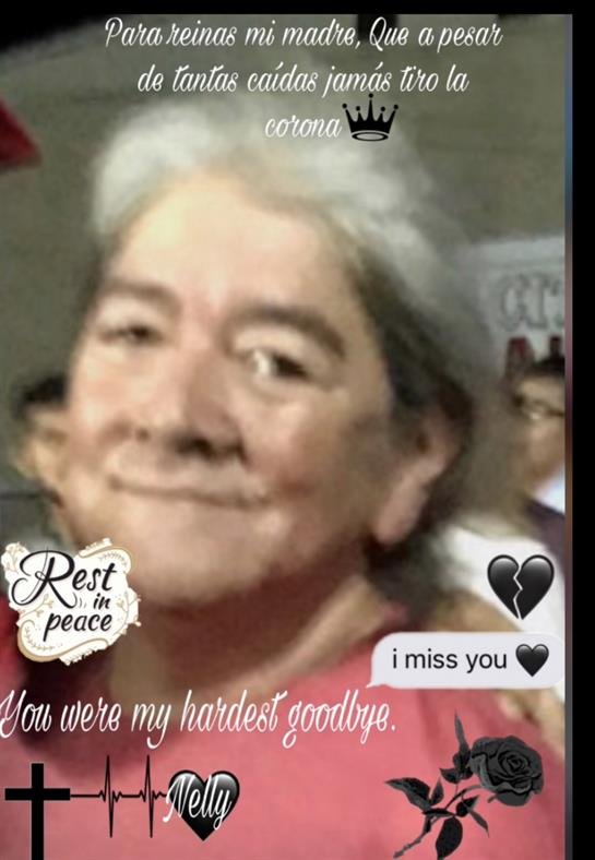 Elva Nelly Ibarra - Photo 8