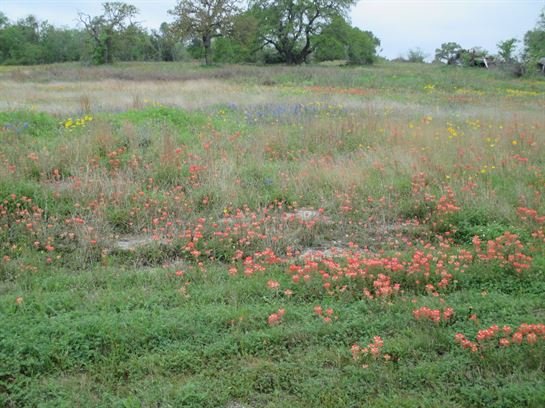 John Michael Virva, Sr. - Photo 7