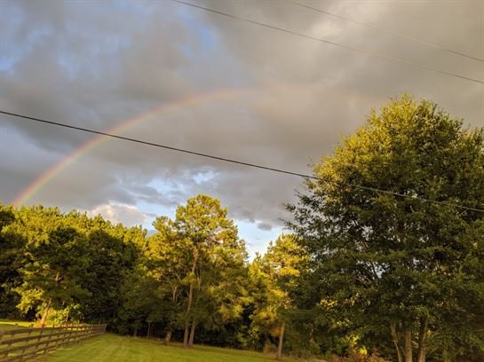 Rodney Charles Barrett - Photo 93