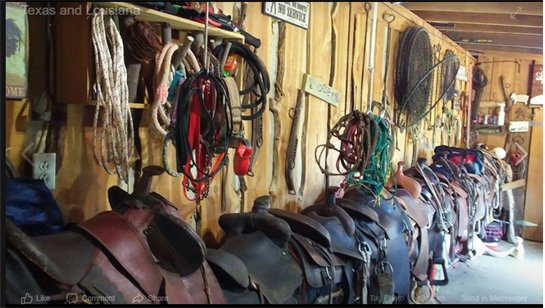 Sidney "Jimmy" Norwood - Photo 45