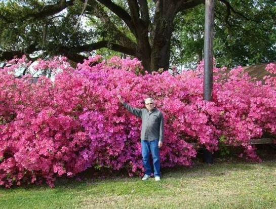 Paul Wilbert Webb - Photo 5