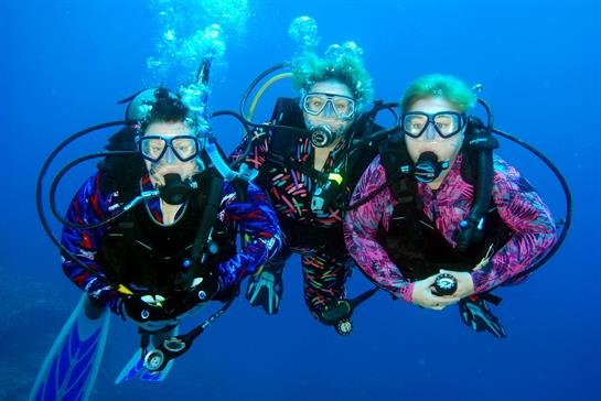 Patti Mann - Photo 4