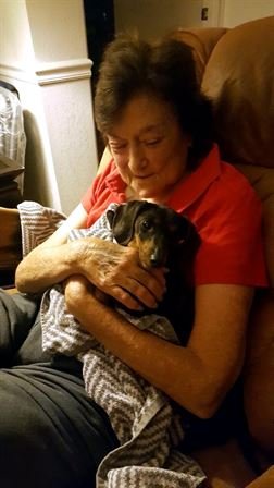 Molley Abshier - Photo 76