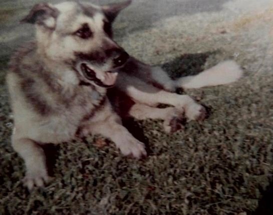 David "Dave" Lee Smith - Photo 73