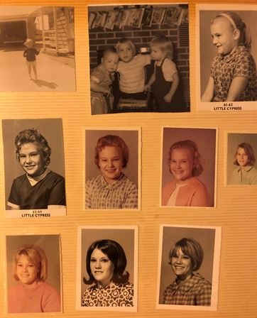 Pam Thomas - Photo 13