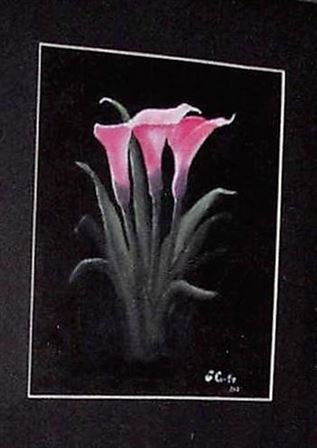 Ellen T. Boyle Curtis - Photo 4