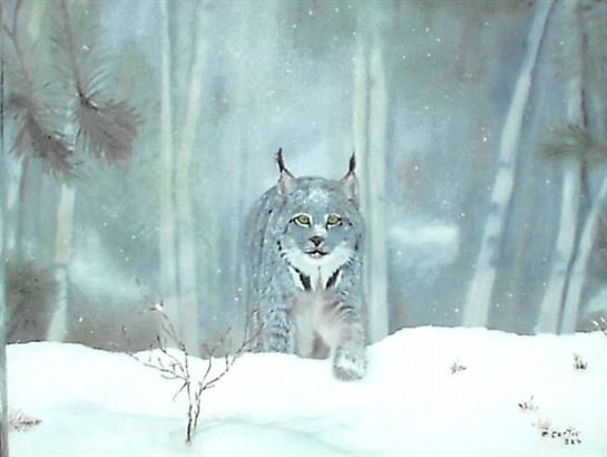 Ellen T. Boyle Curtis - Photo 10