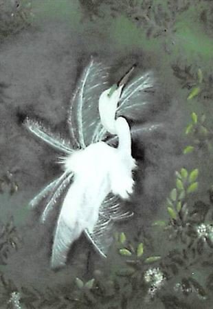 Ellen T. Boyle Curtis - Photo 13