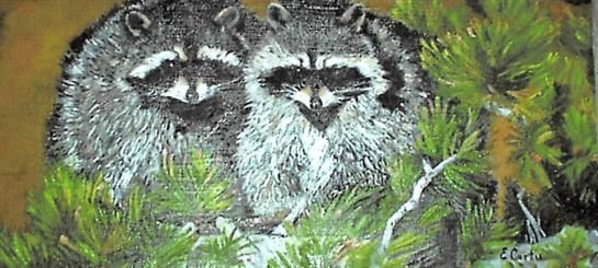 Ellen T. Boyle Curtis - Photo 24