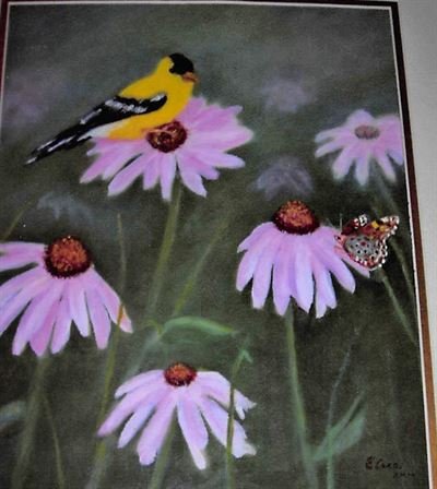 Ellen T. Boyle Curtis - Photo 29