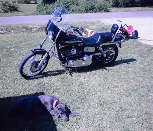 John "Bubba" Wesley King, Jr. - Photo 68