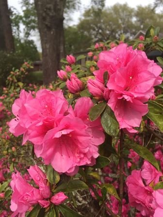 David Scott Young - Photo 28