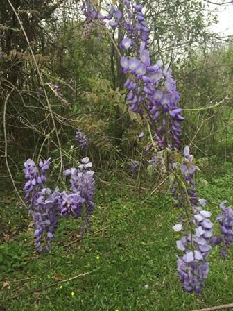 David Scott Young - Photo 31