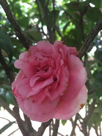 David Scott Young - Photo 33