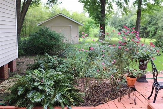 David Scott Young - Photo 92