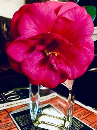 David Scott Young - Photo 114