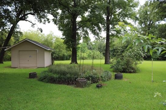 David Scott Young - Photo 123