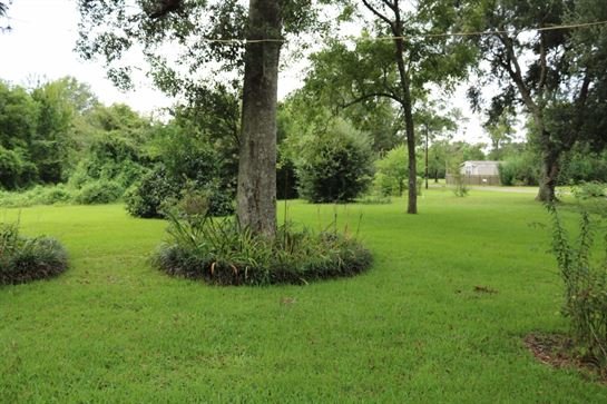 David Scott Young - Photo 151