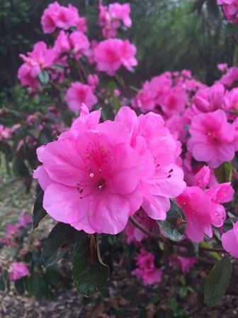 David Scott Young - Photo 164