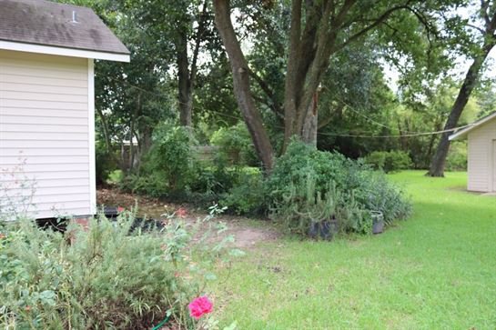 David Scott Young - Photo 178