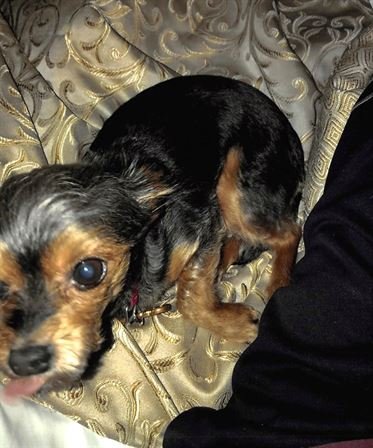 John Charles Cardner - Photo 92