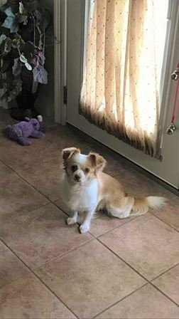 Ray Leleux - Photo 57