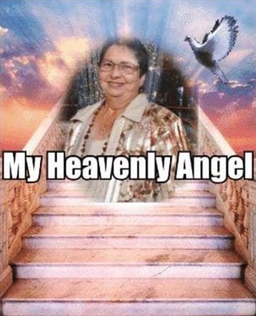 Ray Leleux - Photo 88