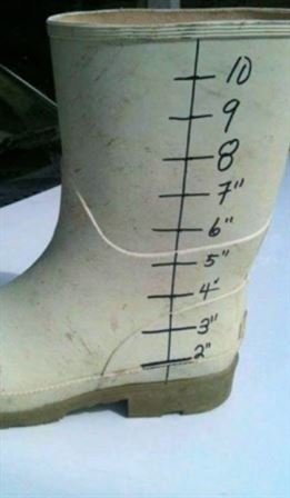 Ray Leleux - Photo 113