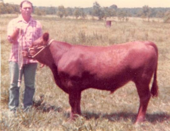 Thomas Casey Hare - Photo 19