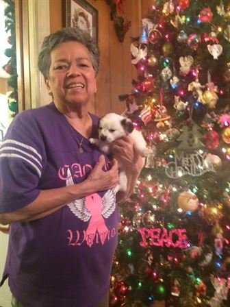 Beatrice Orta Chesson - Photo 27