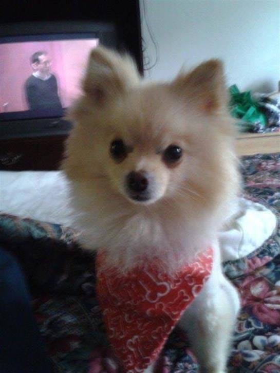 Alice Elaine White - Photo 102