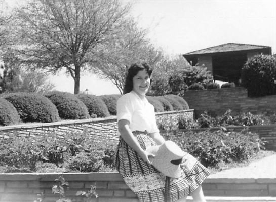 Sue Ayres - Photo 12