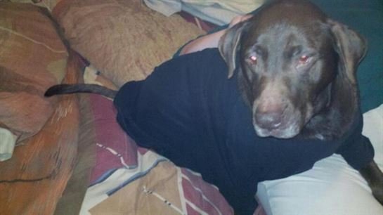 Paul Daniel Moberg - Photo 2