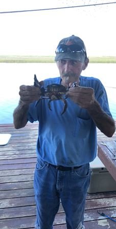 Mark Stevens Braus - Photo 7