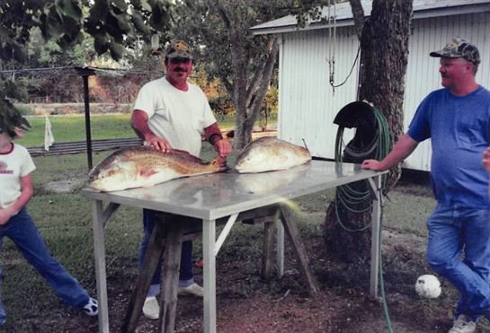 Mark Stevens Braus - Photo 11