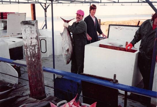 Mark Stevens Braus - Photo 15