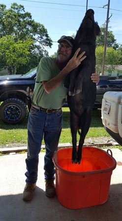 Mark Stevens Braus - Photo 33