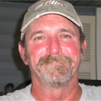 Mark Stevens Braus - Photo 38