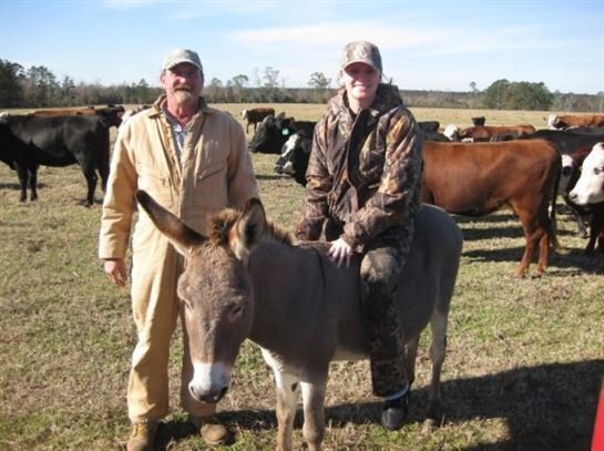 Mark Stevens Braus - Photo 53