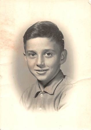 Mark Stevens Braus - Photo 86