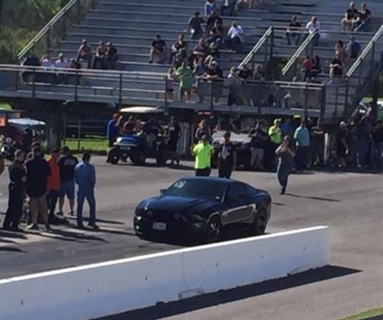 Christopher Michael "Mike" Welsh - Photo 223