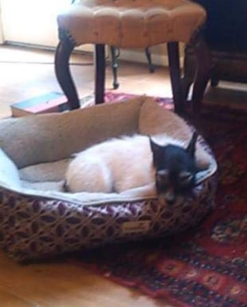 Nan Andrea Gibson - Photo 67