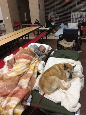 Harry Louis "Buddy" Garison - Photo 21