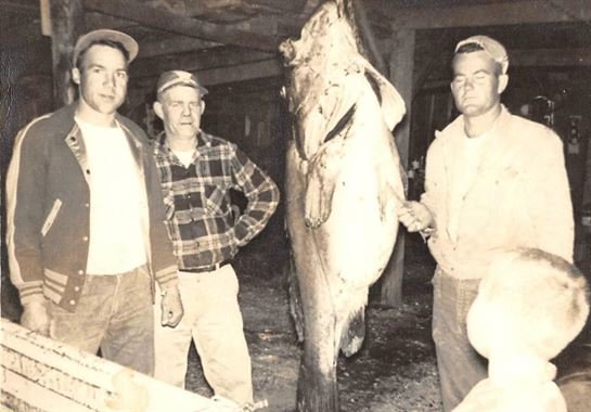 Harry Louis "Buddy" Garison - Photo 32