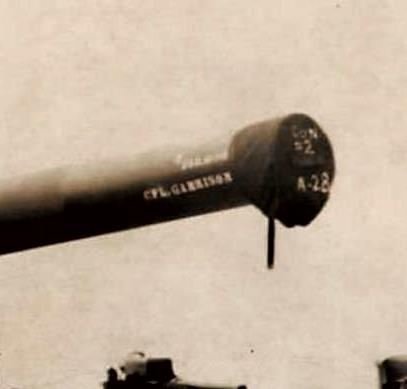 Harry Louis "Buddy" Garison - Photo 44